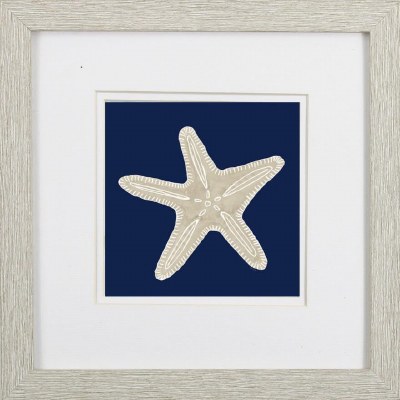 11" Sq Beige Starfish on Navy 1 Framed Print Under Glass