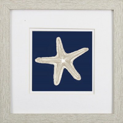 11" Sq Beige Starfish on Navy 2 Framed Print Under Glass