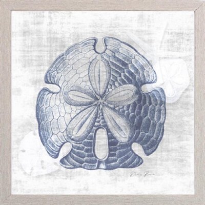 17" Sq Blue Sand Dollar 1 Print in a Whitewash Frame Under Glass