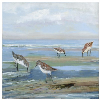 29" Sq Seabirds on the Beach 3 Canvas in a White Frame