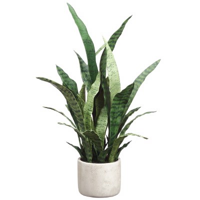28" Faux Two Toned Green Sansevieria Plant in a White Pot