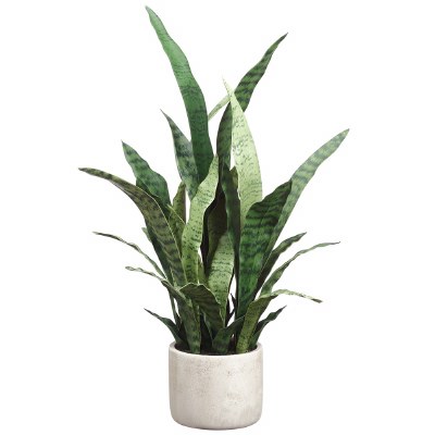 28" Faux Two Toned Green Sansevieria Plant in a White Cement Pot