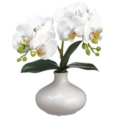 12" Faux Two White Orchid in a White Ceramic Vase