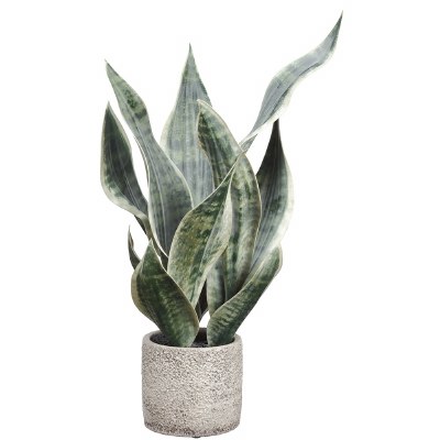 18" Faux Green and Gray Sansevieria Plant in a Gray Cement Pot