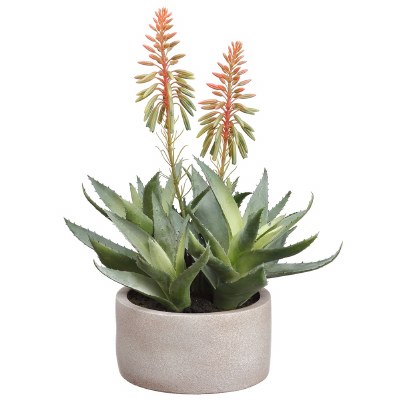 14" Faux Double Pink and Green Blooming Agave Plant in a Distressed White Pot