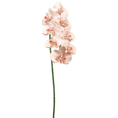 40" Faux Light Pink Phalaenopsis Orchis Spray