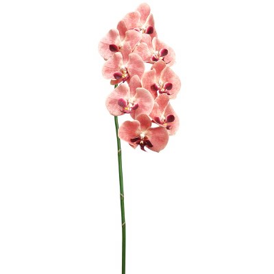 40" Faux Coral Phalaenopsis Orchid Spray