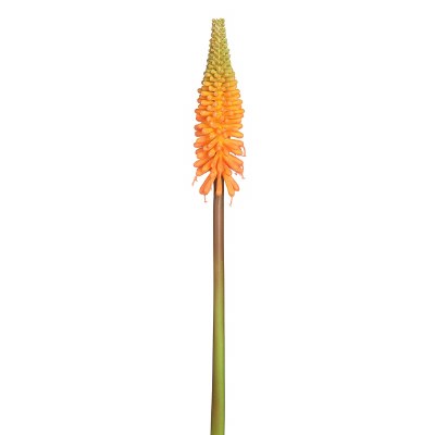 27" Faux Flame Green Red Hot Poker Spray