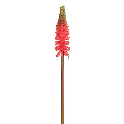 27" Faux Red Red Hot Poker Spray