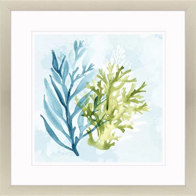 36" Sq Under the Sea 1 Silver Framed Print Under Glass