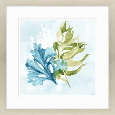 36" Sq Under the Sea 2 Silver Framed Print Under Glass