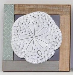 12" Sq Distressed White Sand Dollar on Wood Wall Plaque