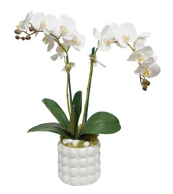 24" Faux White Orchid in a White Dot Pot