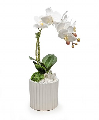 19" Faux White Orchid in a Crystal White Pot