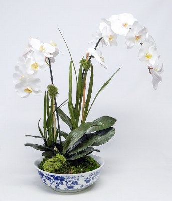 25" Faux Two White Orchids in a Blue and White Bowl