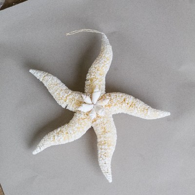6" White Brush Starfish and Shell Ornament