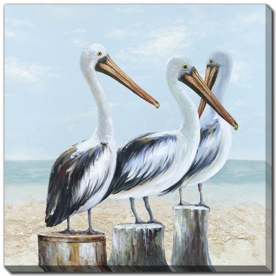 30" Sq Three White Pelicans Canvas