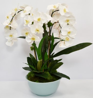 Four Faux White Orchids in a Light Blue Bowl