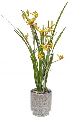 27" Faux Yellow Kangaroo Paw in a Gray Pot