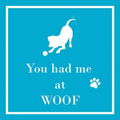 5" Square "You Had Me At Woof" Beverage Napkins