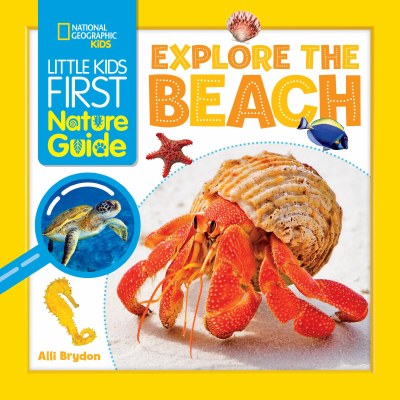 Explore the Beach Children's Book