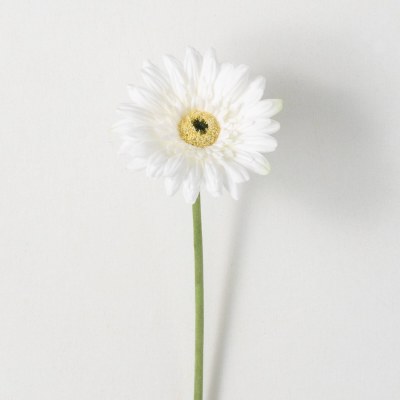 25" Faux Cream Gerbera Daisy Spray