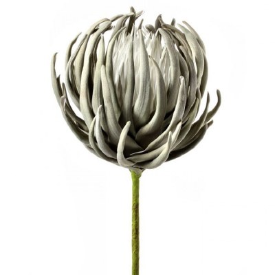 36" Faux Sage Foam Protea