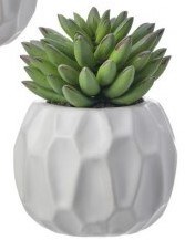 6" Faux Green Succulent in a White Pot