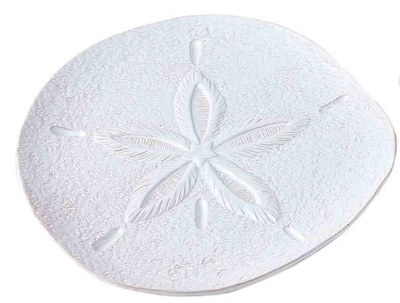 14" Round White Ceramic Sand Dollar Platter by Mud Pie