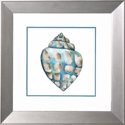 18" Sq Turquoise Turbo Shell Print in a Silver Frame Under Glass