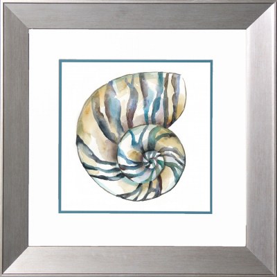 18" Sq Turquoise Nautilus Shell Print in a Silver Frame Under Glass