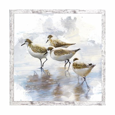20" Sq Four Sandpipers Gel Print in a Distressed White Frame