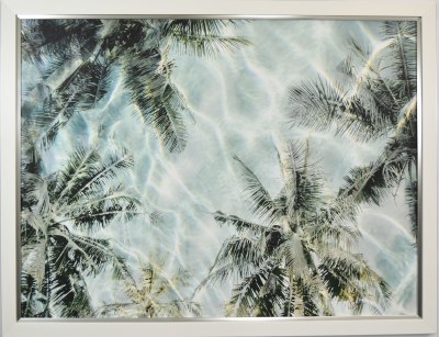 33" x 43" Palm Tress in the Water's Reflection Coastal Gel Print in White Frame With a Silver Edge