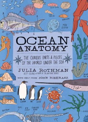 Ocean Anatomy Children's Book