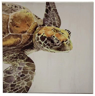 12" Sq Brown Sea Turtle Canvas