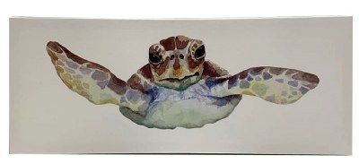 6" x 16" Turtle Portrait Canvas