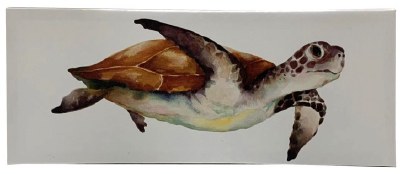 6" x 16" Turtle Profile Canvas