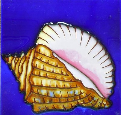 6" Sq Conch Shell Ceramic Tile