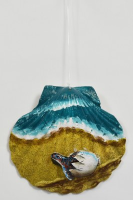 Baby Sea Turtle Htaching on the Beach Scallop Shell Ornament