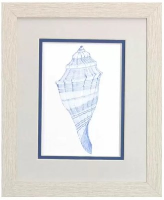 11" x 9" Backside of the Blue Shell Coastal White Wash Framed Print Under Glass