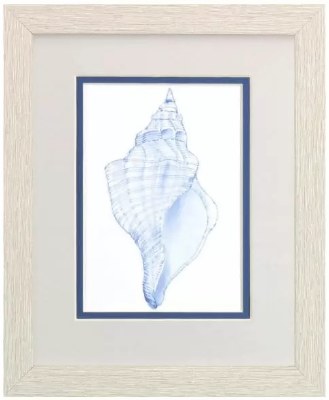 11" x 9" Inside the Blue Shell Coastal White Wash Framed Print Under Glass