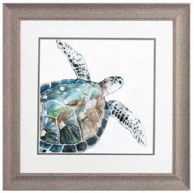 19" Sq Sea Turtle With Fin Flat Coastal Framed Print Under Glass