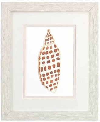 11" x 9" Dotted Shell Coastal White Wash Framed Print Under Glass