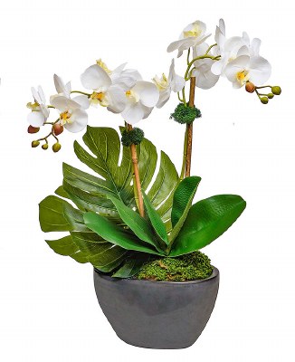 24" Faux Two White Orchids in a Black Oval Pot