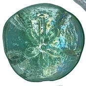 3" Green Iridescent Glass Sand Dollar