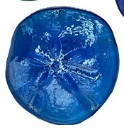 3" Light Blue Iridescent Glass Sand Dollar