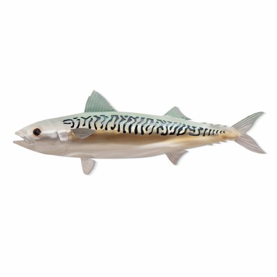 5" x 14" Single Mackerel Coastal Metal Wall Art Plaque MM221