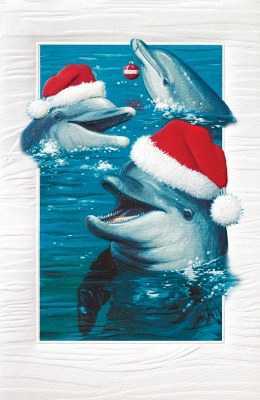 Box of 16 8" x 5" Dolphins Wearing Santa Hats Christmas Cards