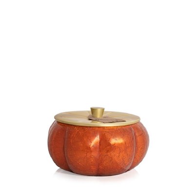 15 Oz Pumpkin Laurel Fragrance Pumpkin Shape Jar Candle
