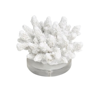 14 White Faux Branch Coral Sculpture on Black Base - Wilford